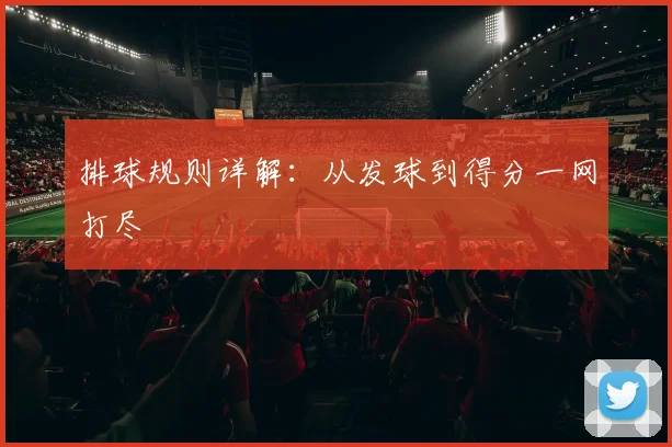 排球规则详解：从发球到得分一网打尽